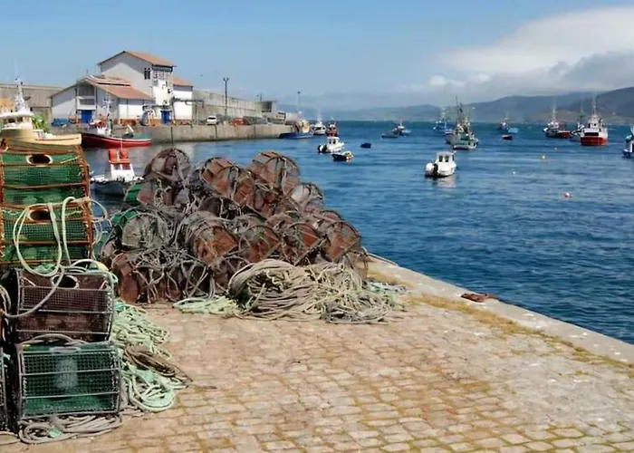 Costa Canido -