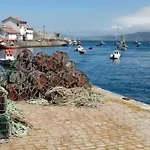 Costa Canido -